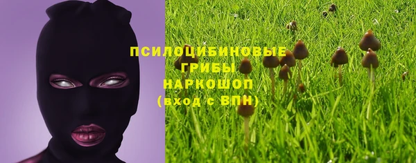 дурь Россошь