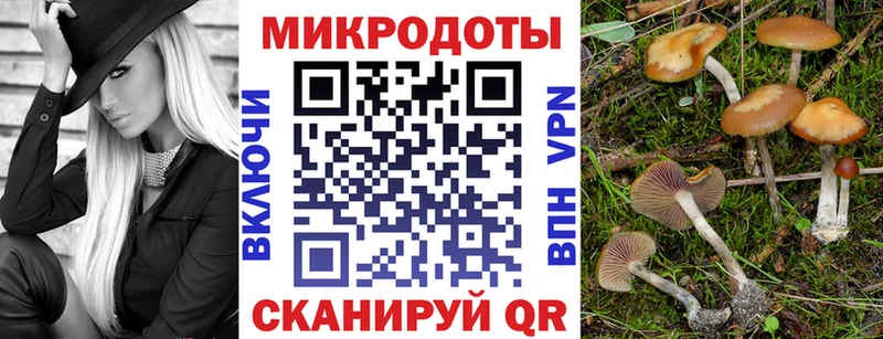 Галлюциногенные грибы мицелий Купить закладки Кочубеевское