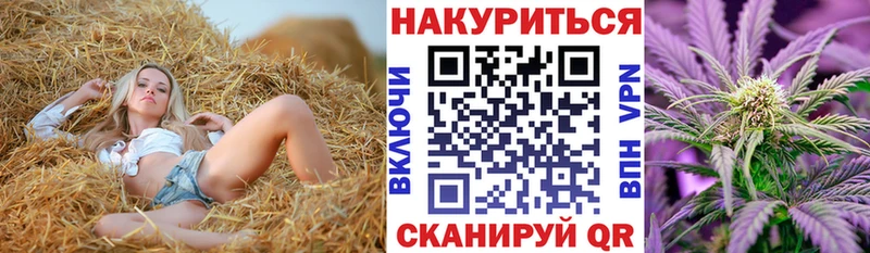 Купить где  Кочубеевское  Канабис VHQ 
